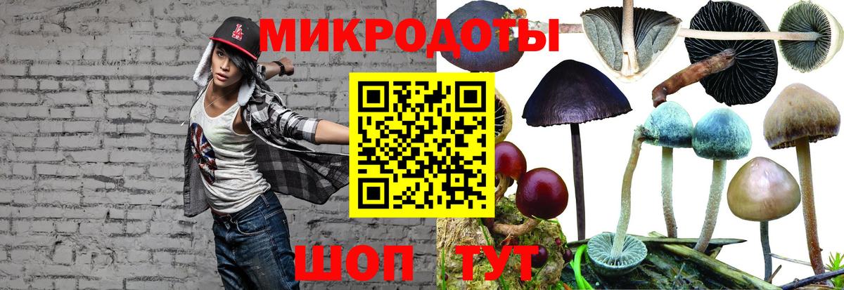 Псилоцибиновые грибы Cubensis Ишим