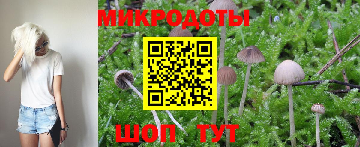 Галлюциногенные грибы GOLDEN TEACHER  Вход с VPN  Ишим 